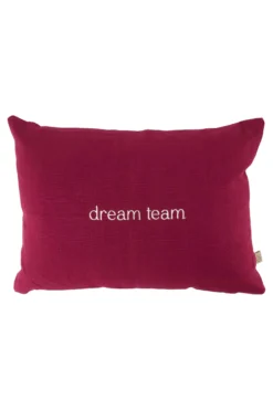 kussen dream team 35x25cm