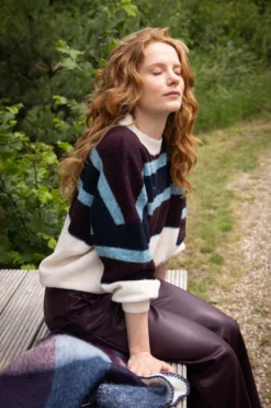 trui met blok streep colourblock