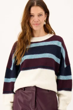 trui met blok streep colourblock